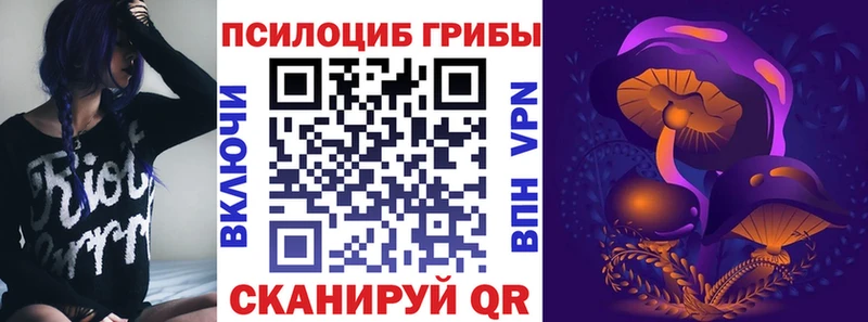 Псилоцибиновые грибы MAGIC MUSHROOMS  MEGA ТОР  Сарапул 