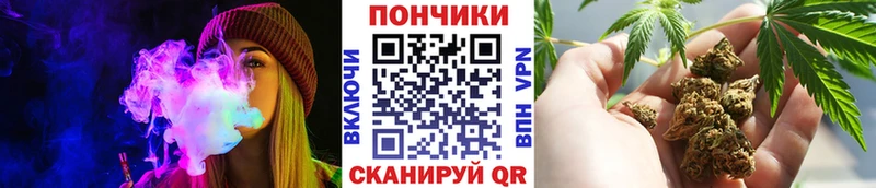 Каннабис семена  MEGA   Сарапул 
